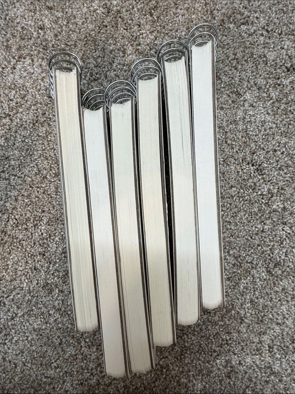 NEW 6 Rae Dunn notepads